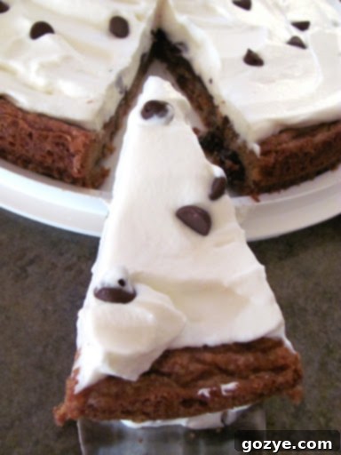 Chocolate Chip Cookie and Cream Tart cooling in a springform pan