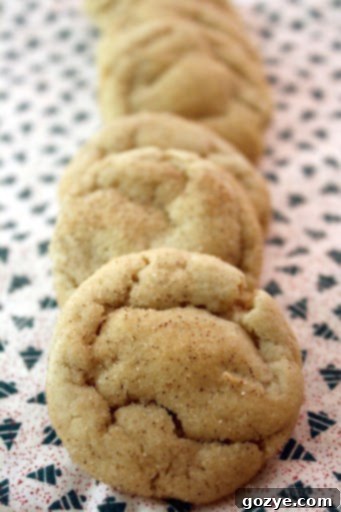 Maple Gingersnap Cookies