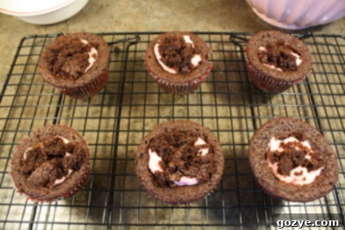 From Chocolate Cups to Brownie Cupcakes: A Baking Journey