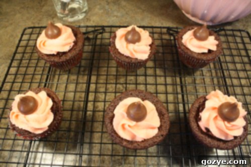 Cherry vs. Chocolate Frosting: Making the Right Choice