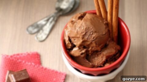A scoop of Mexican Chocolate Ice Cream with cinnamon