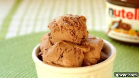 A scoop of No-Cook Egg-Free Nutella Ice Cream