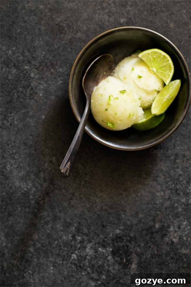 Churn up your favorite cocktail with a pint of Margarita Sorbet, a refreshing frozen dessert