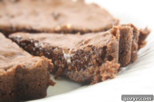 Close-up shot of a single chocolate truffle tartlet, showcasing its glossy, dark chocolate ganache filling and crisp crust.