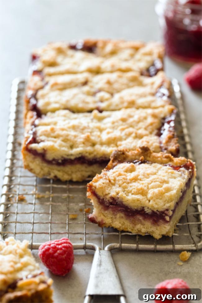 Small Batch Raspberry Crumb Bars with a rich raspberry jam filling and golden crumb topping.