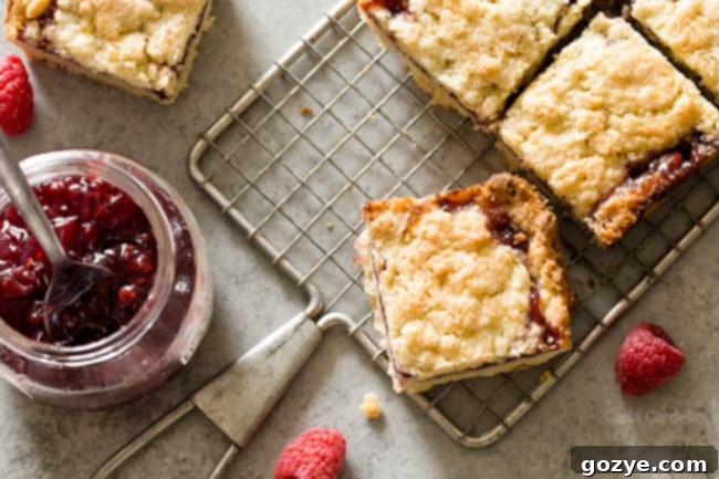 Small Batch Raspberry Crumb Bars showing the buttery crust and raspberry jam layer.