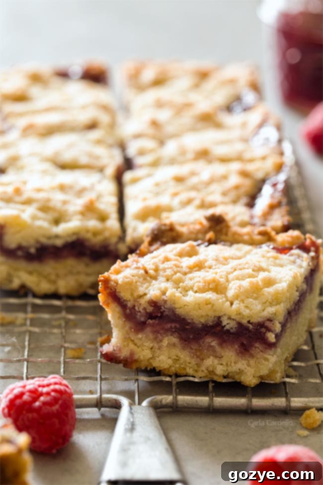 Small Batch Raspberry Crumb Bars baked golden brown in a loaf pan.