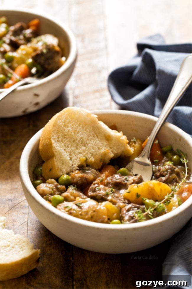 Make comfort food for dinner faster by learning how to make Instant Pot Beef Stew For Two! 