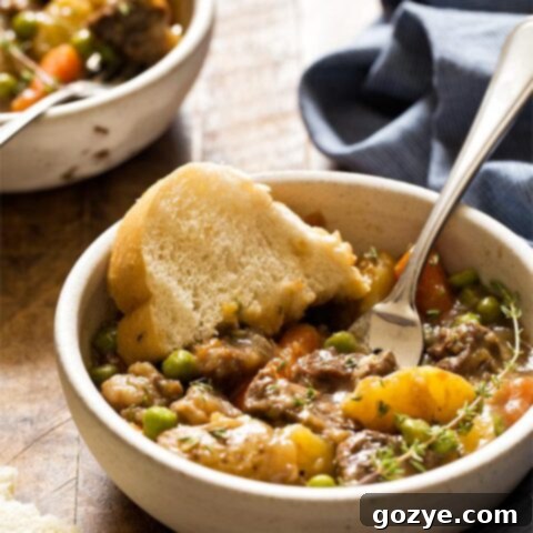 Make comfort food for dinner faster by learning how to make Instant Pot Beef Stew For Two!