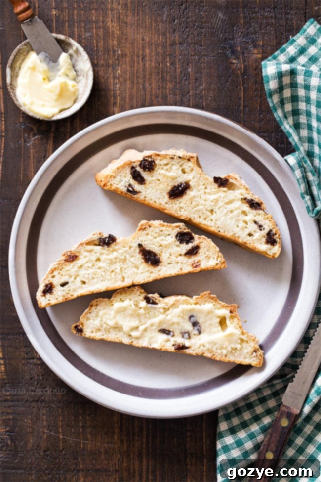 Irish Soda Bread Bites 3 Slices of Mini Irish Soda Bread