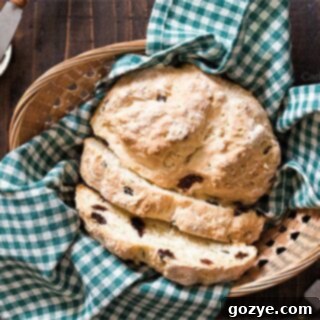Irish Soda Bread Bites 8 Slices of Traditional Mini Irish Soda Bread