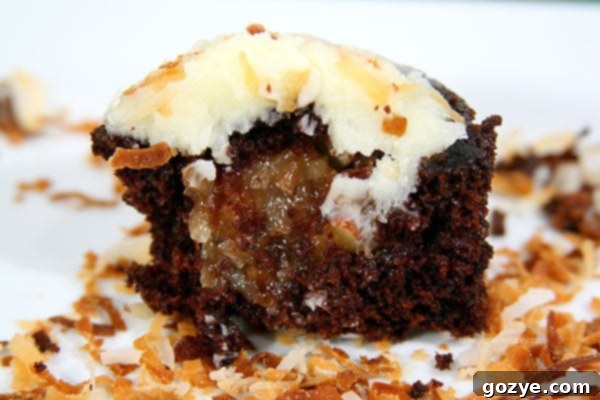 Award Winning Chocolate Coconut Cupcakes with a rich, hidden filling
