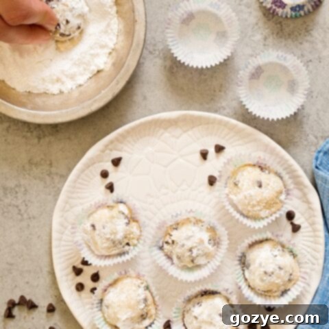 Melt-in-your-mouth Chocolate Chip Snowball Cookies dusted with powdered sugar