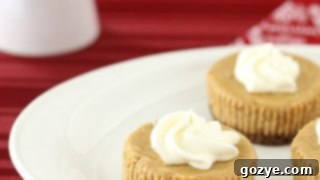 Mini Gingerbread Cheesecakes