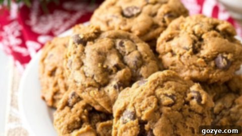 Gingerbread Chocolate Chip Cookies