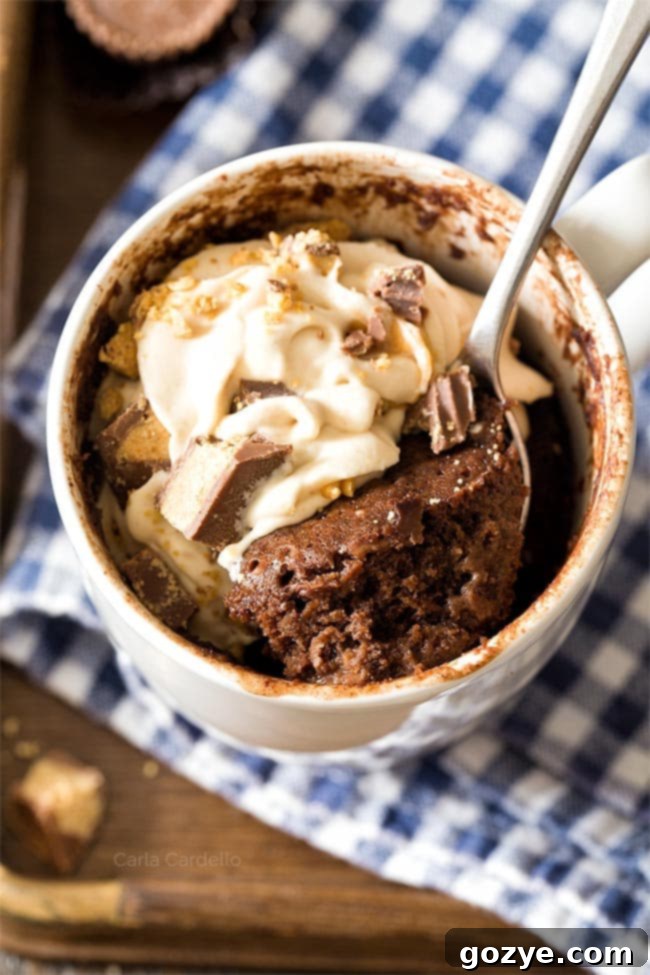 Chocolate Peanut Butter Mug Cake