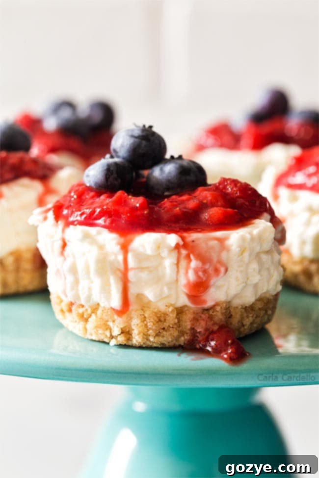 No Bake Mini Cheesecakes