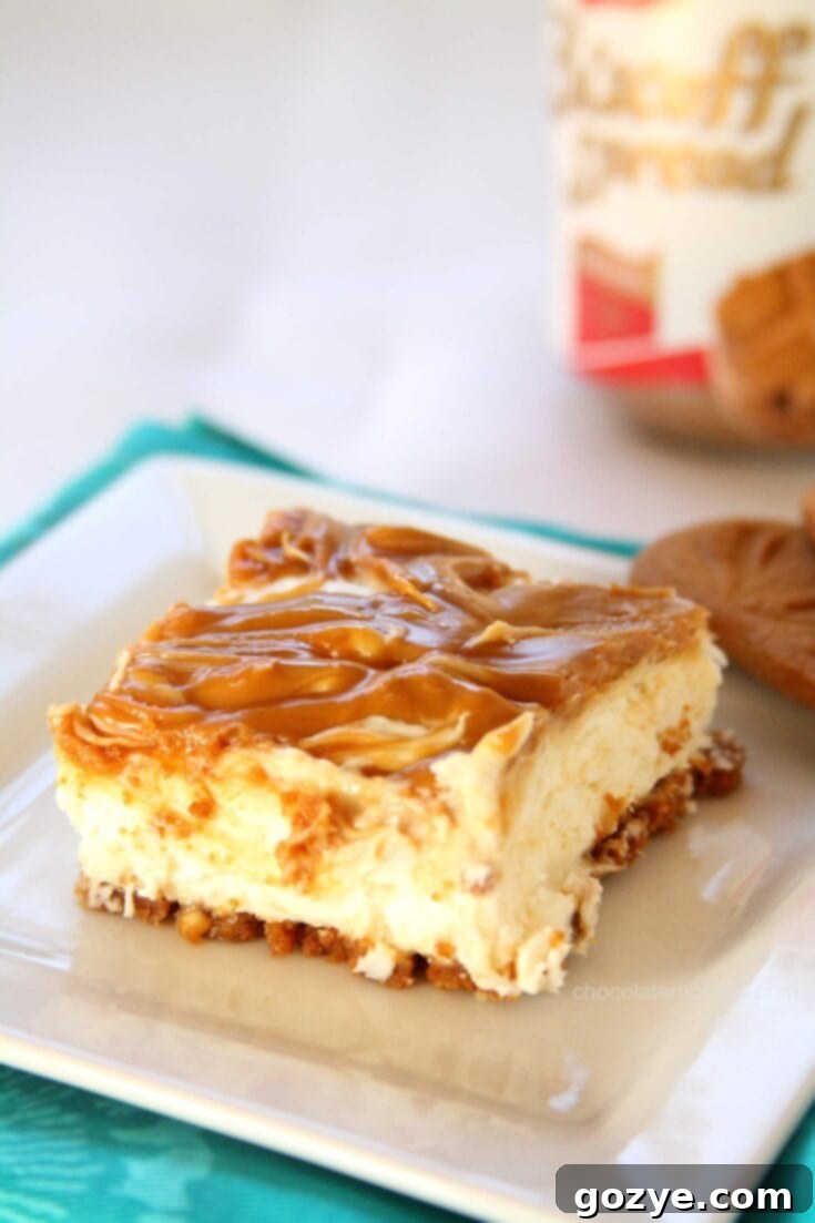 No Bake Biscoff Cheesecake