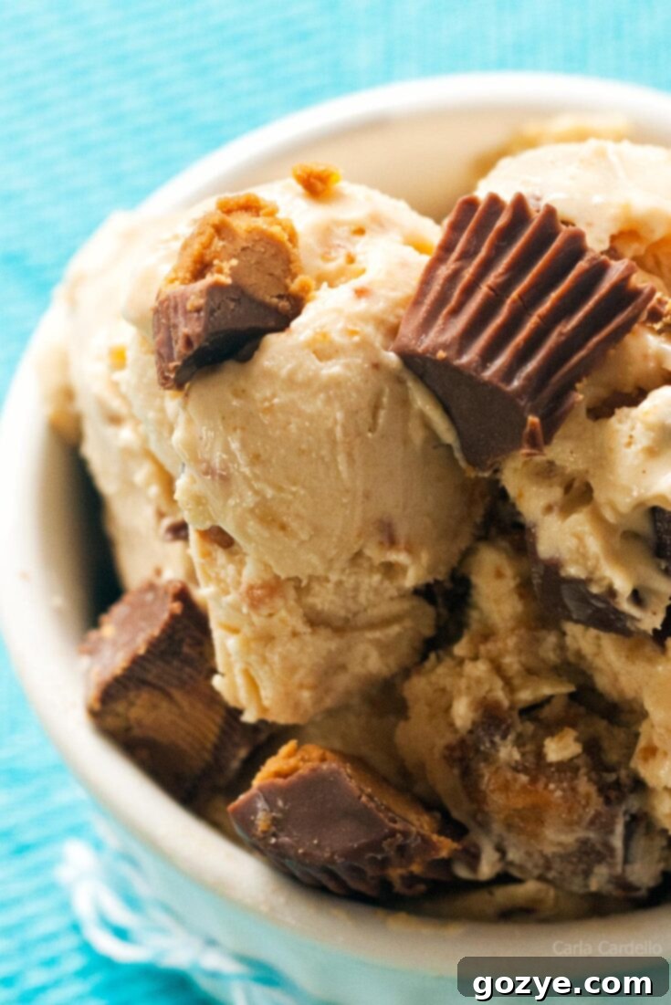 Peanut Butter Ice Cream