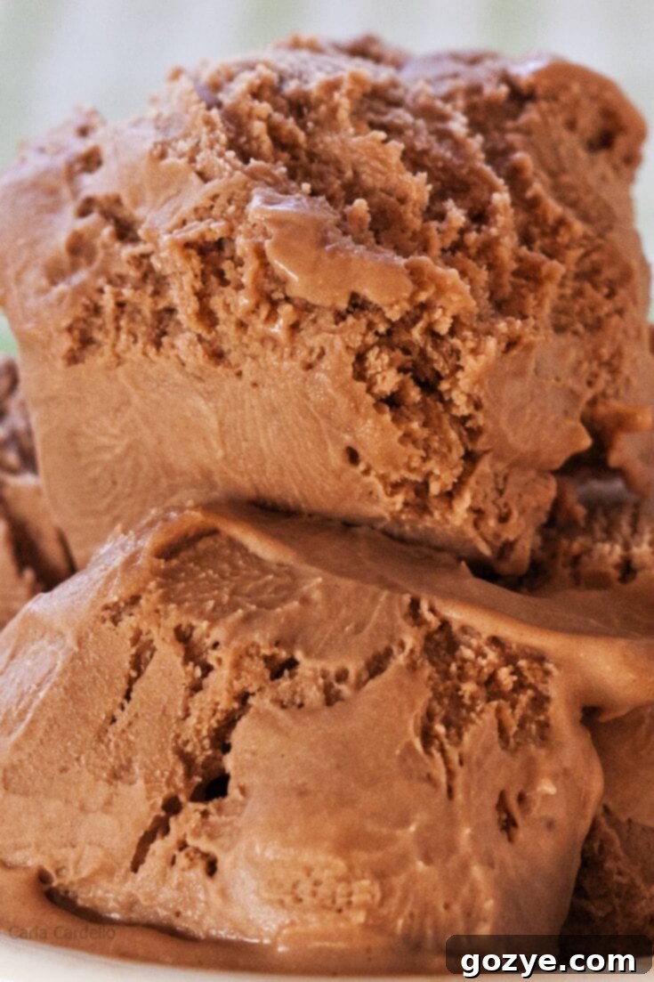 Nutella Ice Cream
