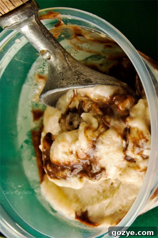 Banana Fudge Ice Cream