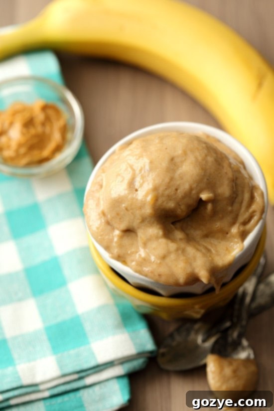 Peanut Butter Banana Ice Cream