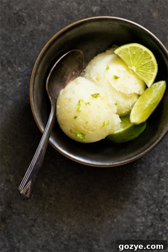 Margarita Sorbet