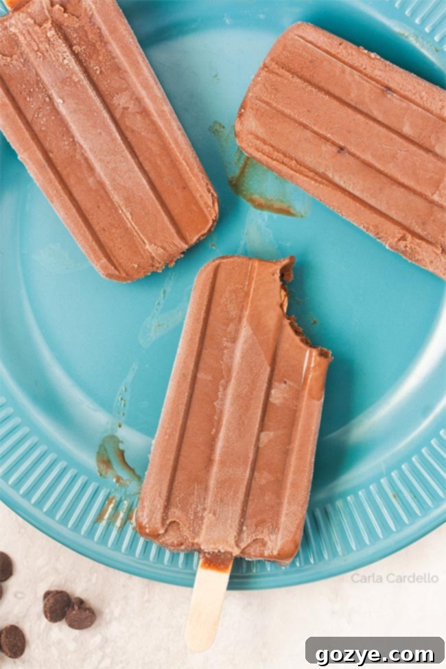 Homemade Fudgesicles
