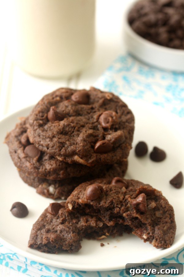 Chocolate Coconut Cookies (Egg Free)