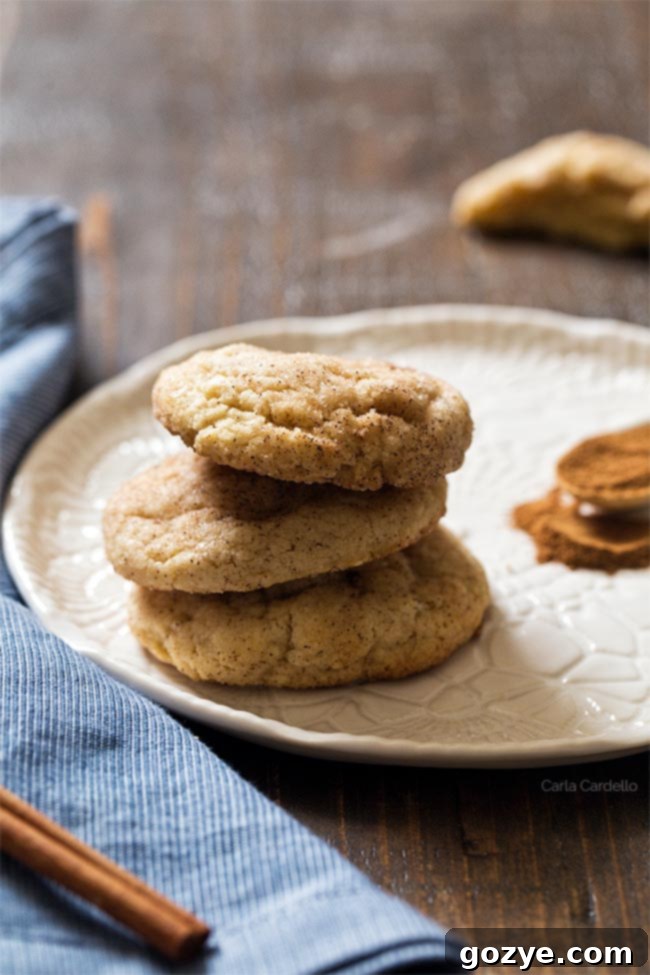 Small Batch Snickerdoodles