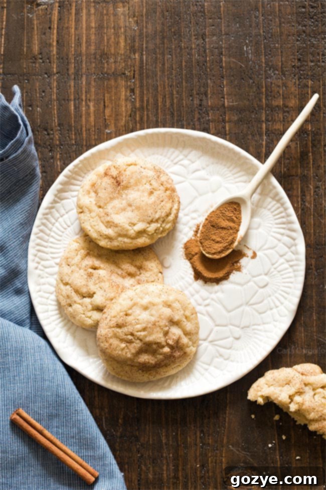 Small Batch Snickerdoodle Cookies