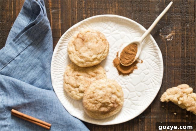 Snickerdoodles For Two