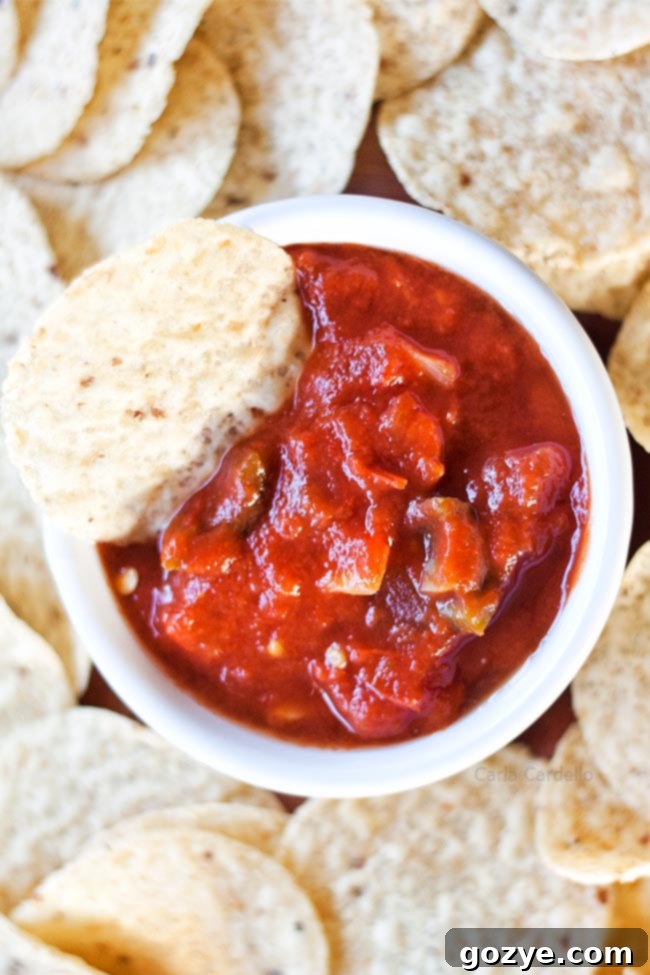 Bowl of garden salsa with nachos