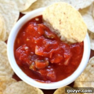 Fresh Garden Salsa Recipe