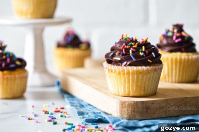 Yellow Cupcakes With Sprinkles and chocolate frosting