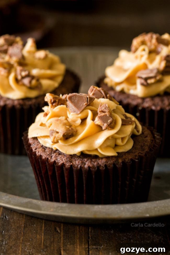 Close up of chocolate cupcakes with peanut butter frosting