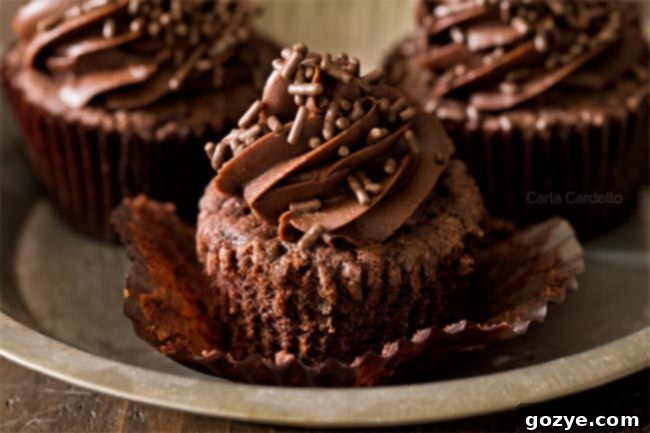 Small Batch Chocolate Cupcakes with chocolate frosting