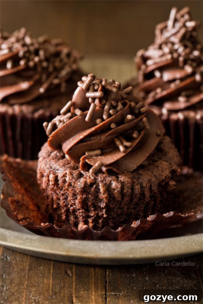 Homemade Chocolate Cupcakes (Small Batch)