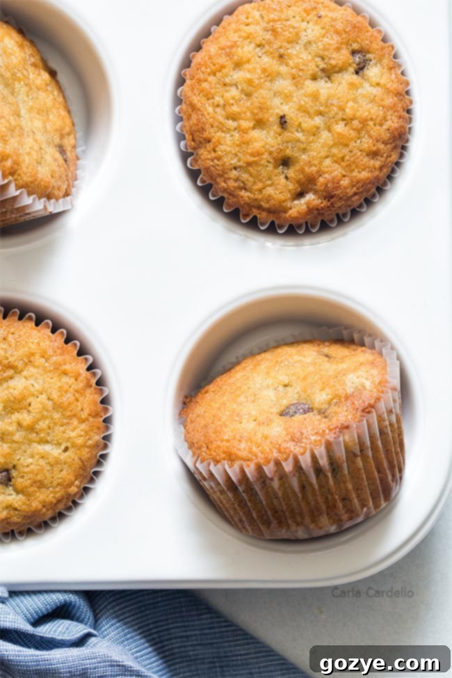 Close up of banana muffins, golden brown with visible chocolate chips