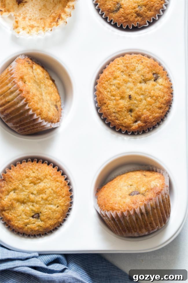 Close up of banana muffins in white muffin tray, golden brown