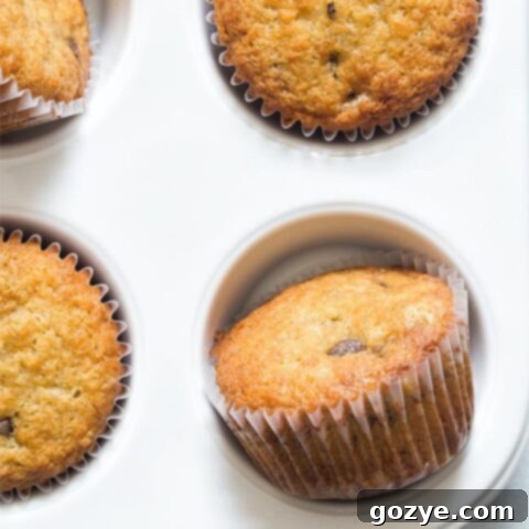 Close up of small batch banana muffins with chocolate chips