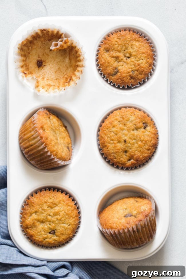 6 Banana Muffins with chocolate chips arranged artfully
