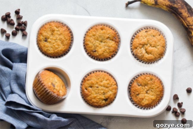 6 banana muffins perfectly baked in a white muffin pan