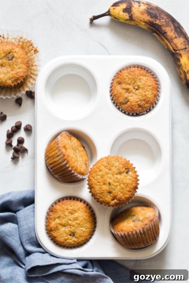 6 banana muffins in a white muffin tray, freshly baked