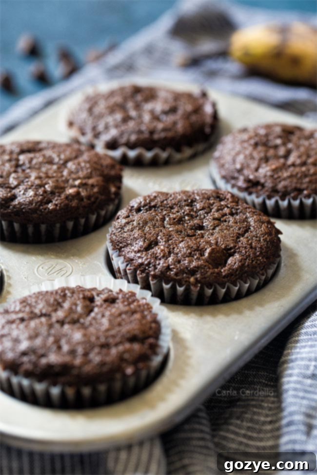 Cozy Chocolate Banana Muffins 2 Small Batch Chocolate Banana Muffins, golden brown with chocolate chips