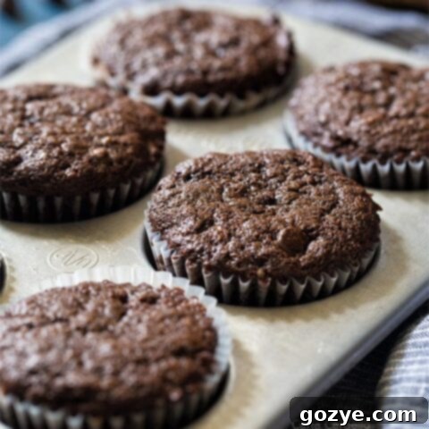 Cozy Chocolate Banana Muffins 7 Small Batch Chocolate Banana Muffins recipe photo