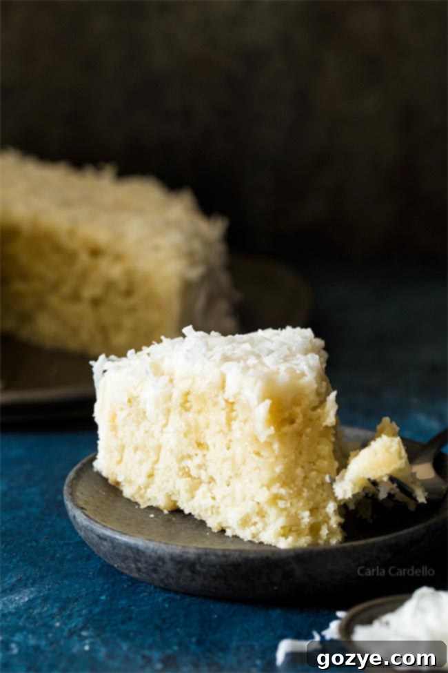 Slice of small coconut cake recipe