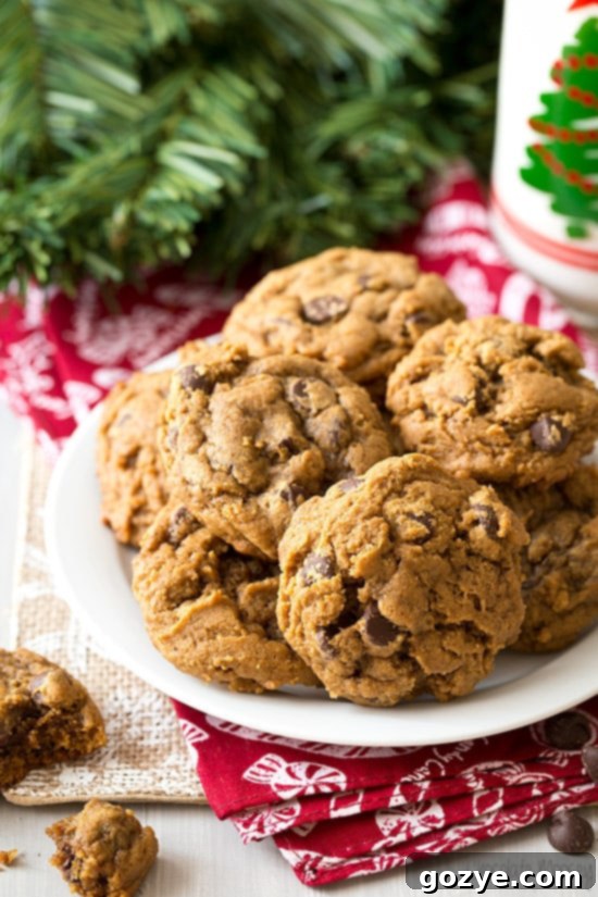Gingerbread Chocolate Chip Cookies for leftover egg yolks