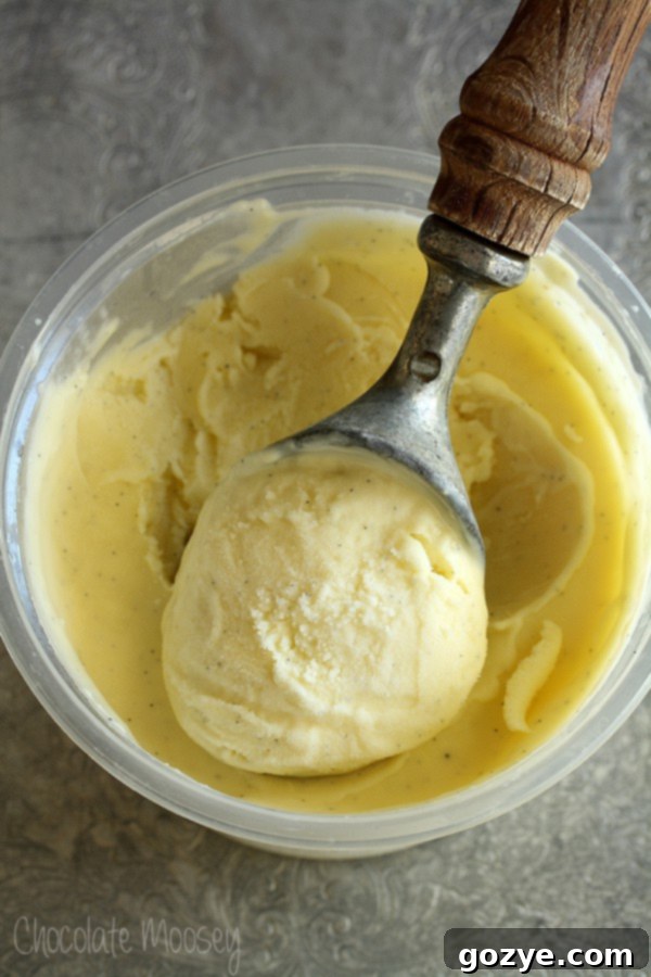 Vanilla Bean Ice Cream made with three egg yolks