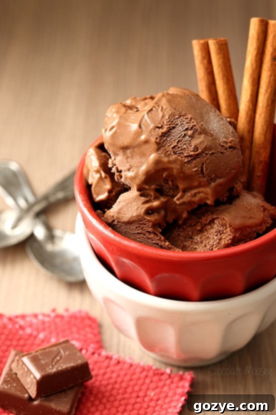 Mexican Chocolate Ice Cream, a creative egg yolk recipe